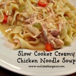 Slow Cooker Mondays:  Creamy chicken noodle soup!