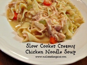 slow-cooker-chicken-noodle-soup