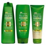 FREEBIE ALERT:  Garnier Fructis FREEBIE live at 12 pm EST!