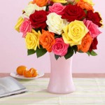 DEAL ALERT:  $30 of flowers from Proflowers for $15! (think Mother’s Day!) 