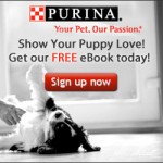 FREEBIE ALERT:  FREE Puppy Care eBook!