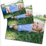 FREEBIE ALERT:  165 FREE photo prints!