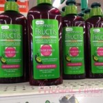 Garnier Fructis Color Shield FREE after coupon at Dollar Tree!