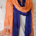Two Colorful Scarves just $13.98 SHIPPED!