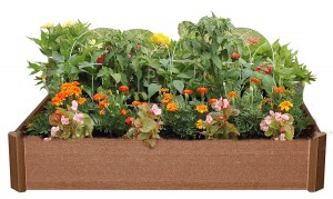 raised-bed-garden-kit