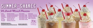 sonic-summer-of-shakes