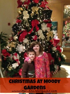 christmas-at-moody-gardens