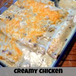 Creamy Chicken Enchiladas Recipe