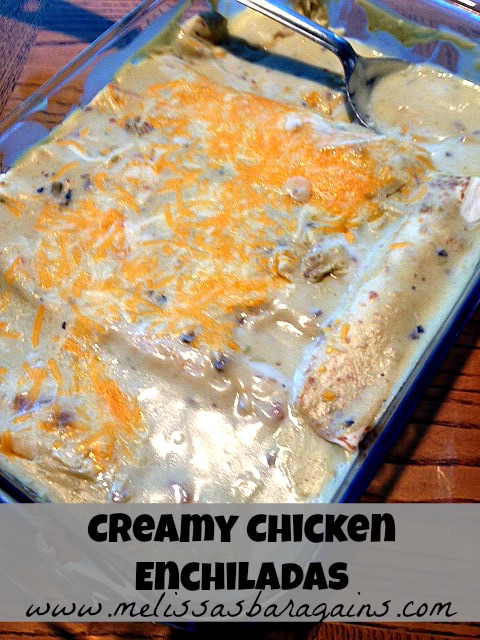 creamy-chicken-enchiladas