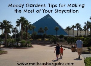 moody-gardens-staycation