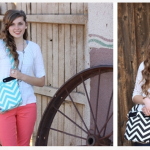 Trendy Little Chevron Purse only $18.95!