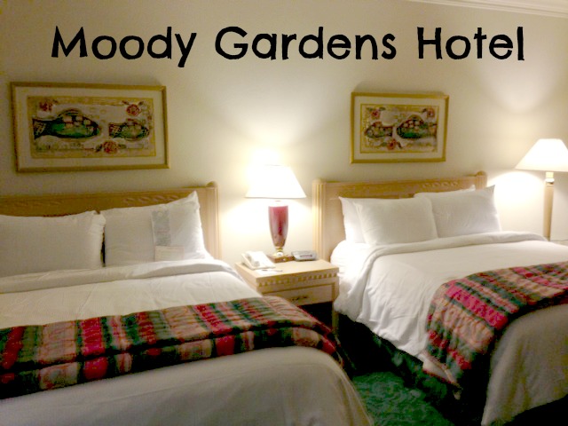 moody-gardens-hotel