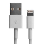 iPhone 5 and iPad Mini Lightning to USB Charging Cable only $1.99!