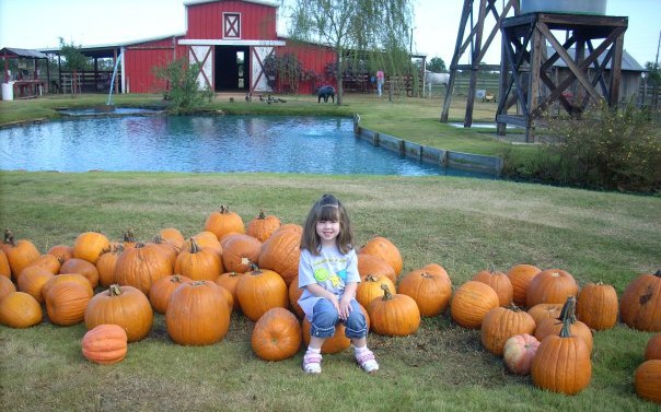 Flat Acres Pumpkin Patch Parker Colorado