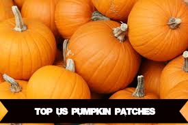 us-pumpkin-patches