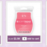 Scentsy Super Sale: up to 70% off!