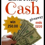 Black Friday $250 CASH GIVEAWAY!