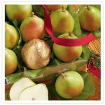 Harry & David One Dozen Royal Riviera Pears only $19.99 shipped!