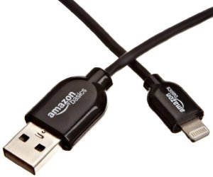 iphone-5-ipad-mini-lightning-cable