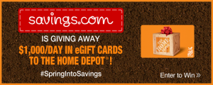 PD425_HomeDepot_eGiftCard_3