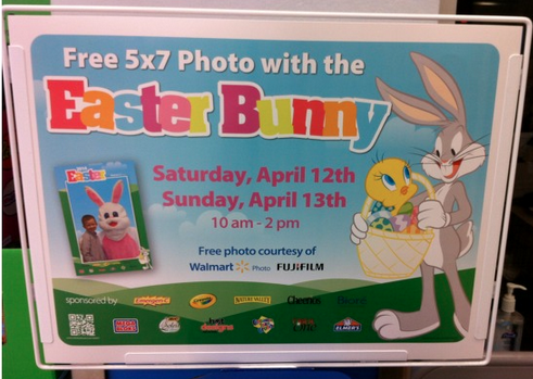 free-easter-bunny-photo