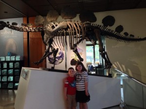 houston-museum-of-natural-science