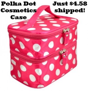 polka-dot-cosmetics-case
