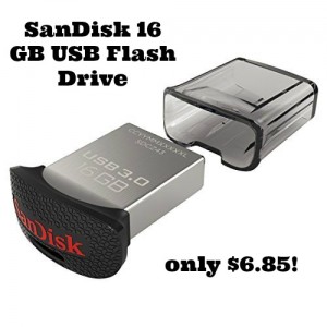 sandisk-16-gb-usb-flash-drive