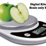 Digital Kitchen Scale only $9.75!