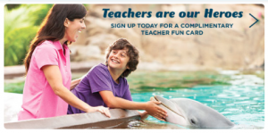 Screen Shot 2015-05-05 at 5.49.12 AM