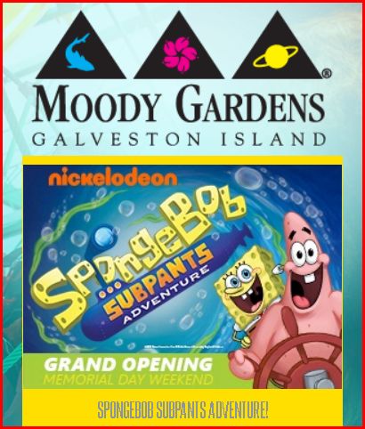 moody-gardens-sponge-bob-subpants