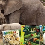 HOT Groupon:  ZooBooks 50% off!