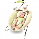 Fisher Price My Little Snugabunny Bouncer for $38.99 shipped!