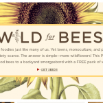 FREE Wildflower Seeds from Burt’s Bees