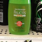 FREE Garnier Fructis Shampoo!