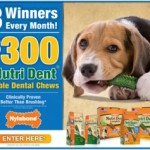 Win $300 in Nylabone FREEBIES for your dog!